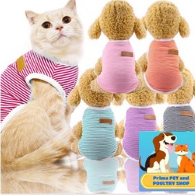 BAJU SANTAI ANJING DAN KUCING PREMIUM