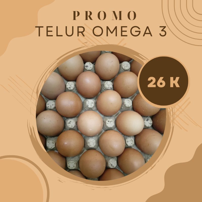 

Promo Telur Omega 3 per Kg - Ukuran Besar (1 butir berat 70 - 85 gr) Hemat Berkualitas