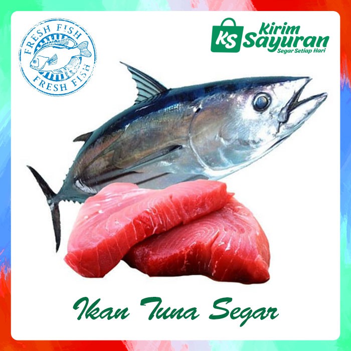 

Ikan Tuna Segar (500 g)