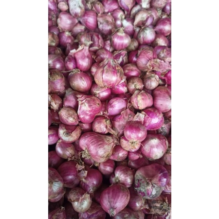 

Bawang Merah Asli Nganjuk
