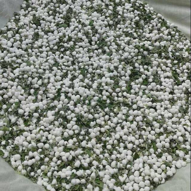 Bedak Dingin Sarang Walet