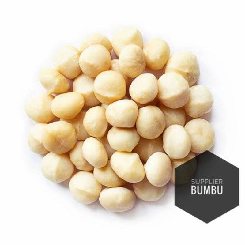 

macadamia nut kacang