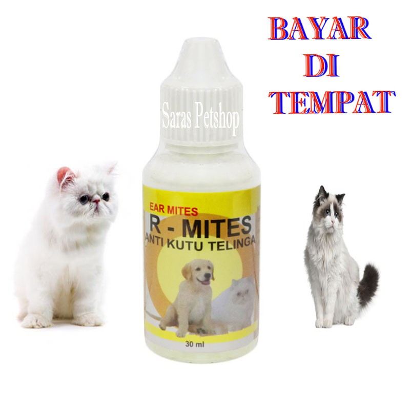 obat kucing sakit telinga tetes congean berair r mites
