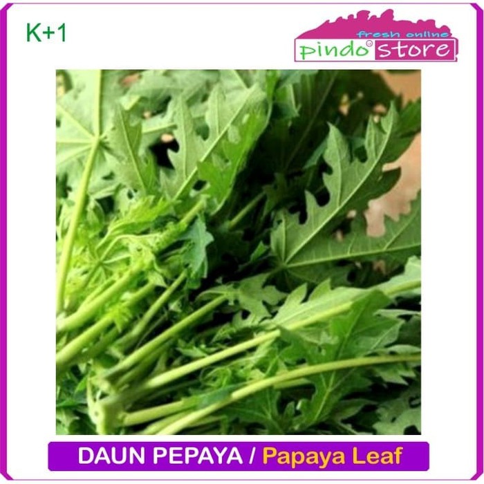 

DAUN PAYA / DAUN PEPAYA MUDA SEGAR / PAPAYA LEAF 1 IKAT