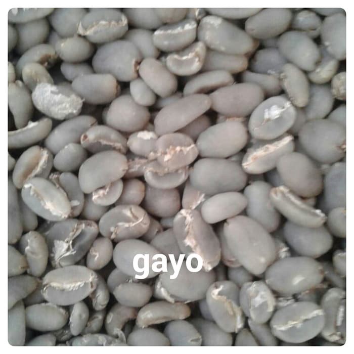 

Green Bean Gayo - kkp1214