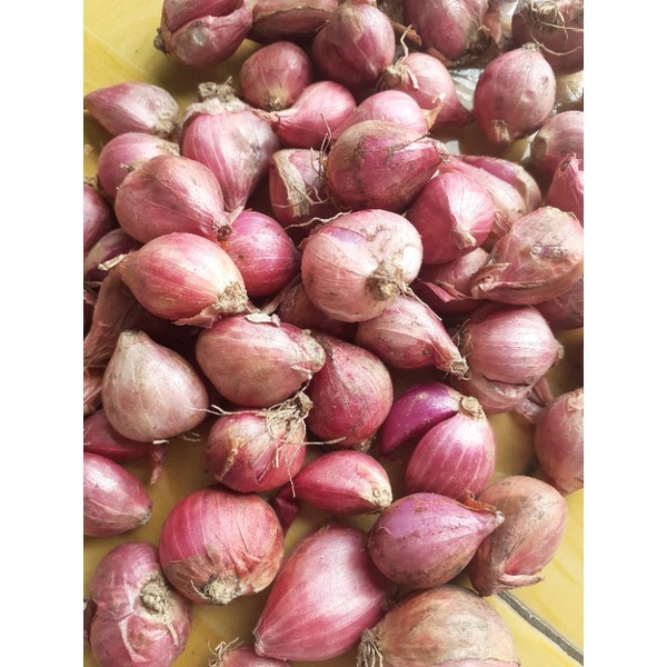 

Termurah Bawang Merah/ Brambang 1 kg