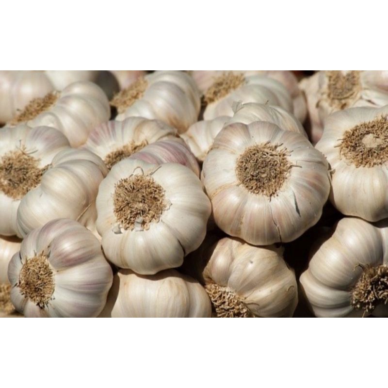 

Bawang putih / 500gr