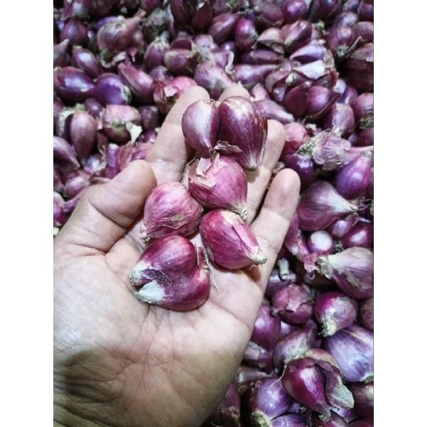 

bawang merah Brebes super 1kg