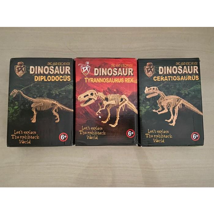 Outbound | Fosil Dinosaurus/ Mainan Edukasi Fosil Dinosaurus Untuk Arkeologi