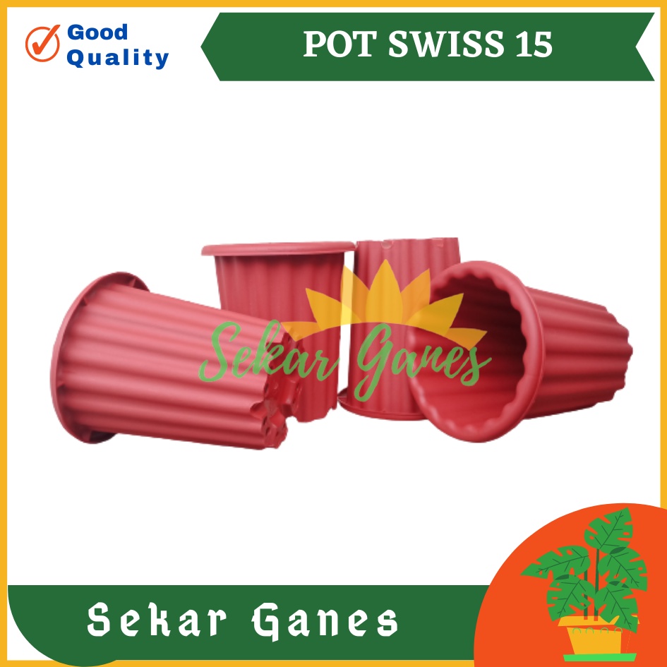 Sekarganes Pot Swiss 15 Putih Pot Yogap 10 13 15 Putih Coklat Merah Bata Bening Transparan Pot Yogap 17 18 19 Pot Yogap Murah Pot Bunga Tinggi Pirus Tegak Bagus Tebal