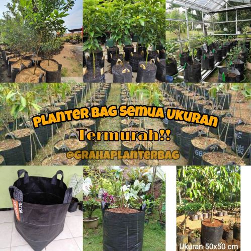 Planter Bag / Planter Bag 50 Liter / Planter Bag 75 Liter / Planter Bag 100 Liter All ukuran