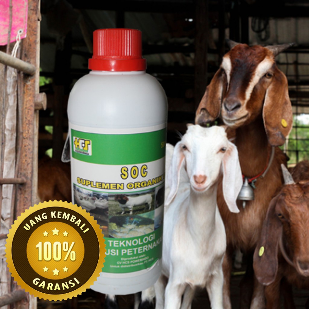 (BAYAR DI TEMPAT) SOC HCS ORIGINAL 100% SUPLEMEN TERNAK KAMBING