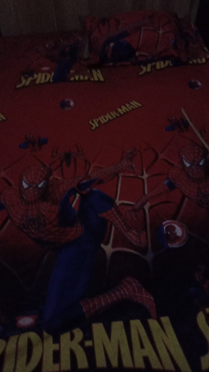 Sprei Home Made Lovely Dolpin No 1,2&3 Murah Berkualitas/sprei Motif Dolpin 180x200 160 X 200 12