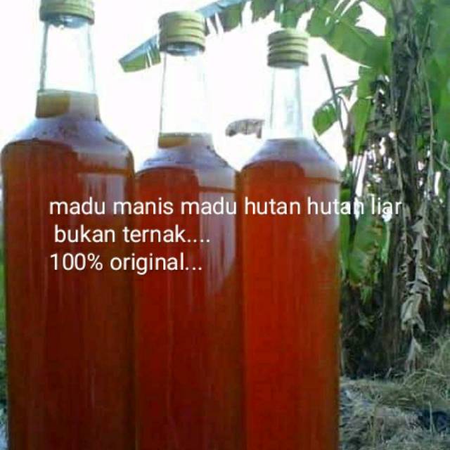 

Madu hutan murni 600 gram/ 460 ml