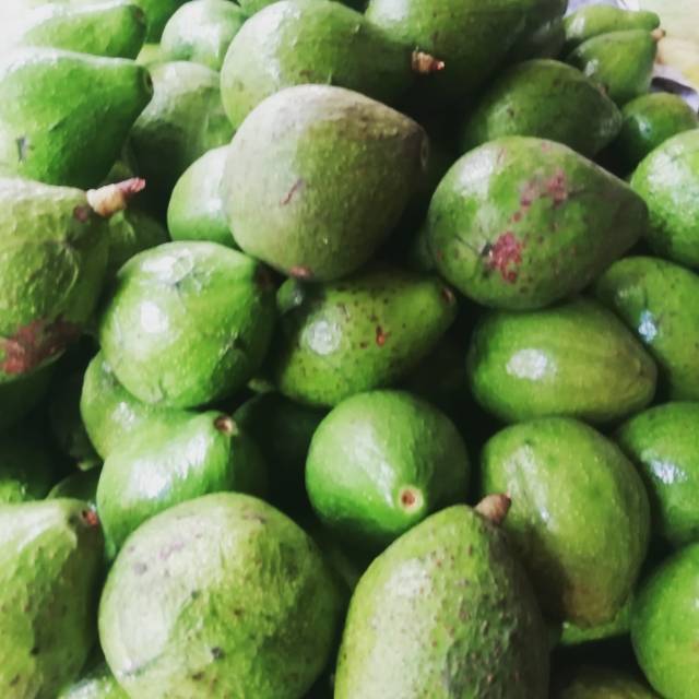 

BUAH ALPUKAT SEGAR 1 KG