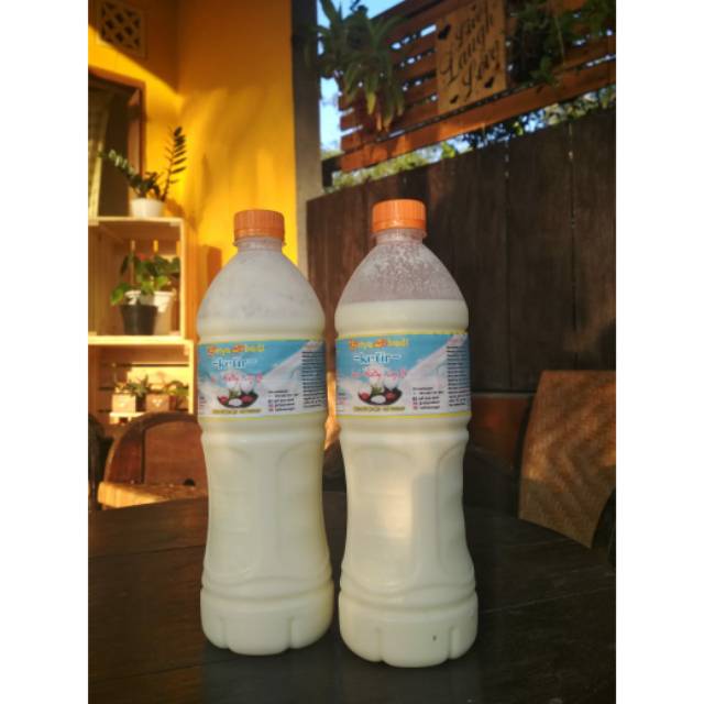 

Susu kefir