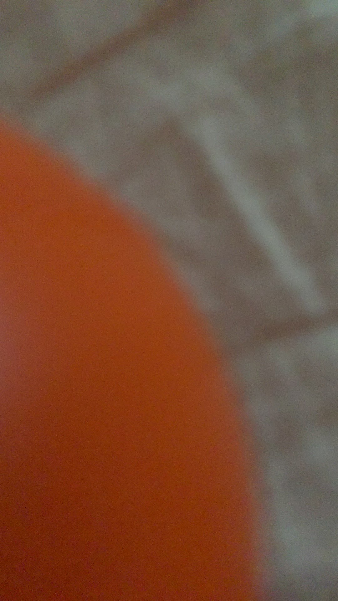 Agb - Apyk21 Payung Magic 3d Hujan Dengan Motif Yang Muncul Ketika Basah Payung Hujan