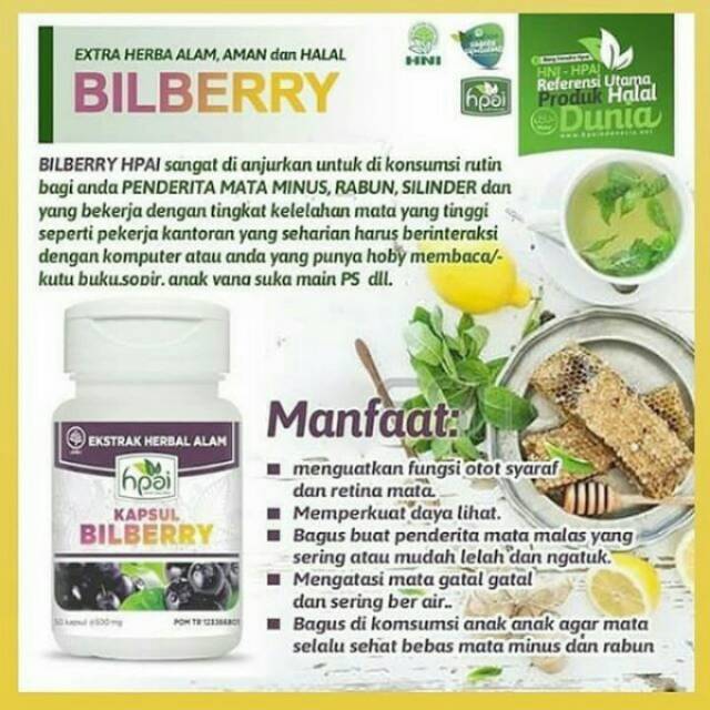 Bilberry Hpai Ori Hpai Mengobati Mata Minus Rabun Senja Katarak Memelihara Kesehatan Mata Shopee Indonesia