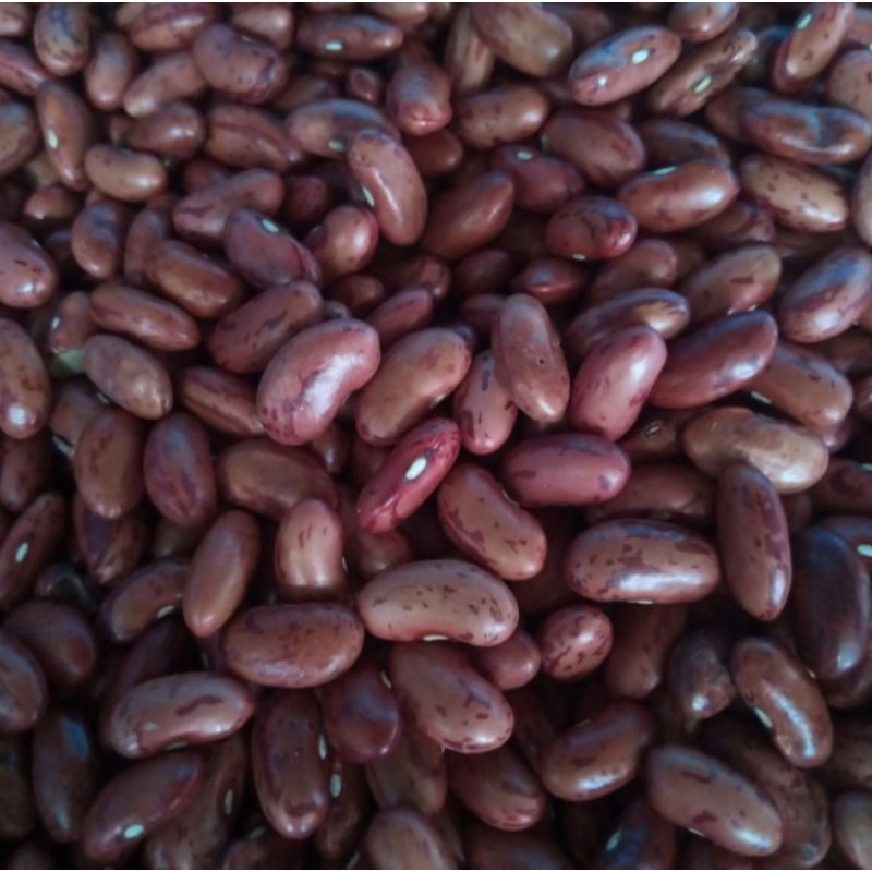 

Kacang Merah Berat 500 g (Pengiriman Medan)