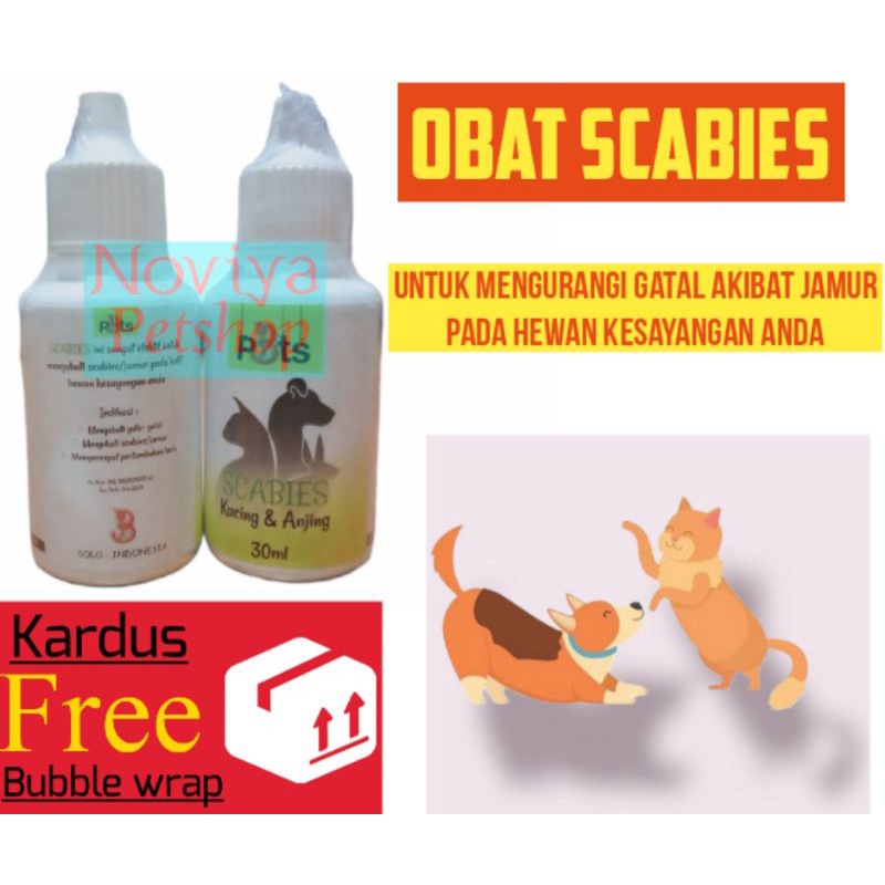 Obat scabies kucing anjing