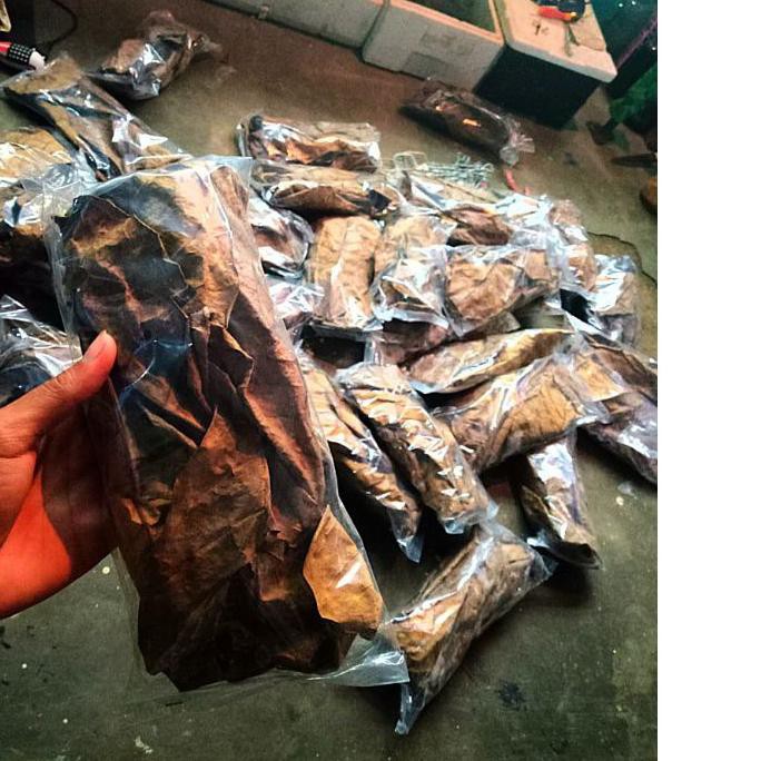 

♥@♥ Daun Ketapang Olahan Asli Laut Pelabuhan Ratu