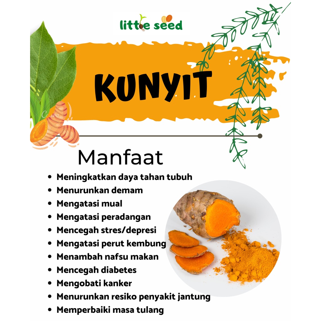 

kunyit kering premium / dried curcuma