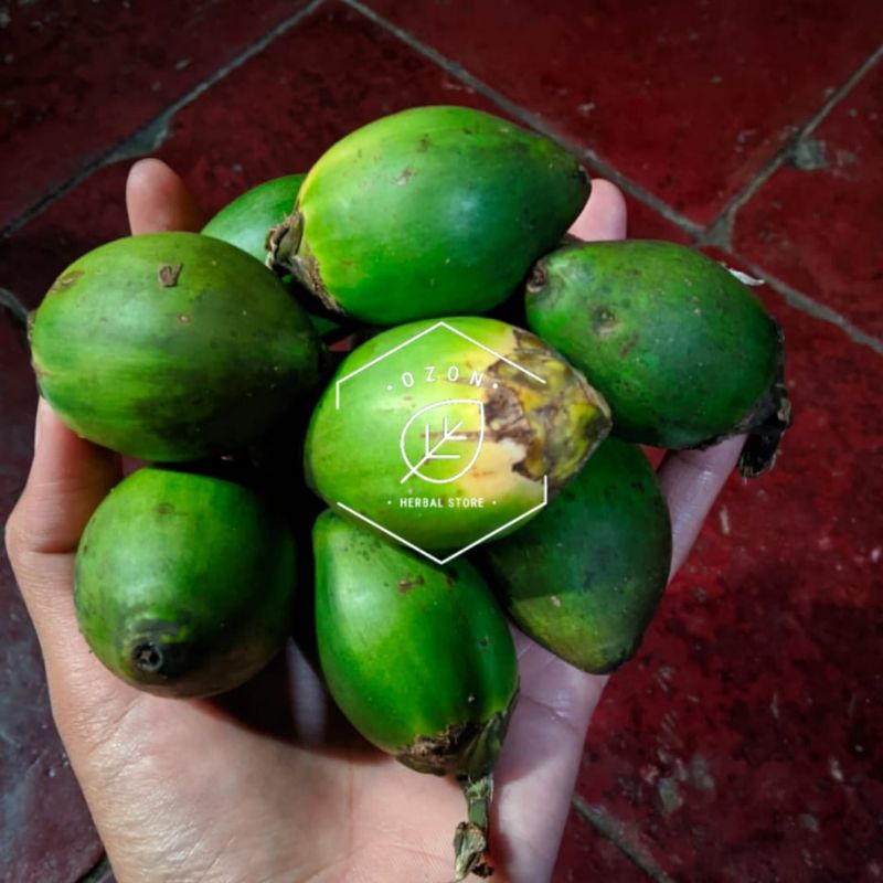 

Buah Pinang Muda segar 1kg