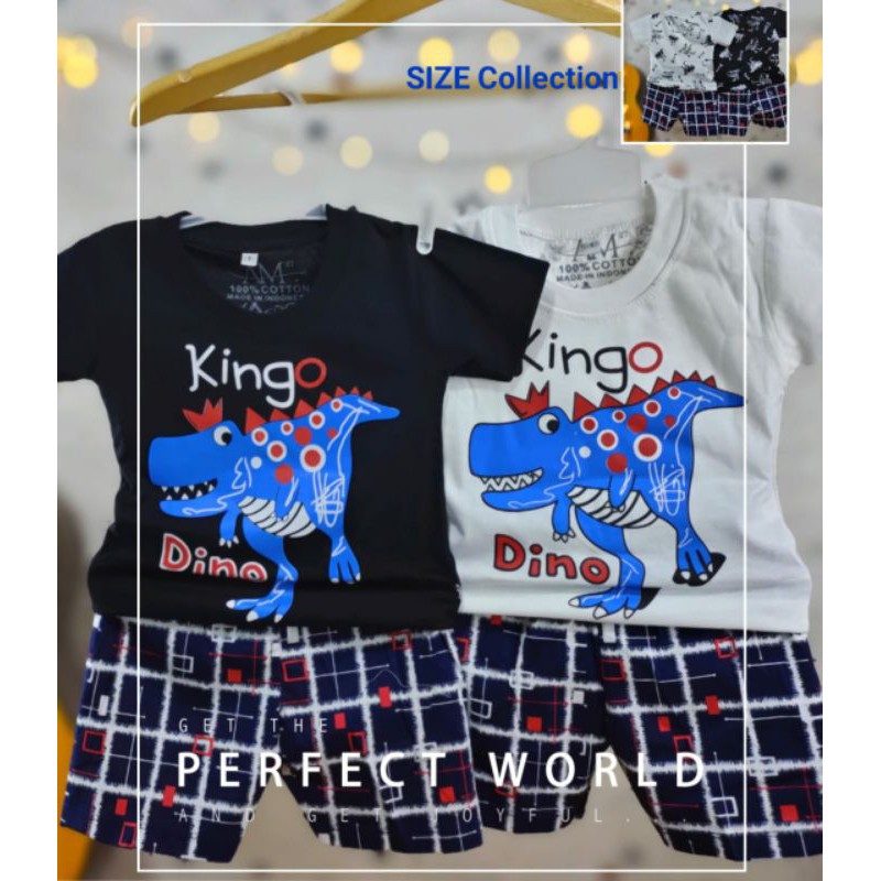 Setelan Anak Laki-laki Fullprint &quot;DINO KINGO&quot; Size 3 bulan-8 tahun merk. AM27