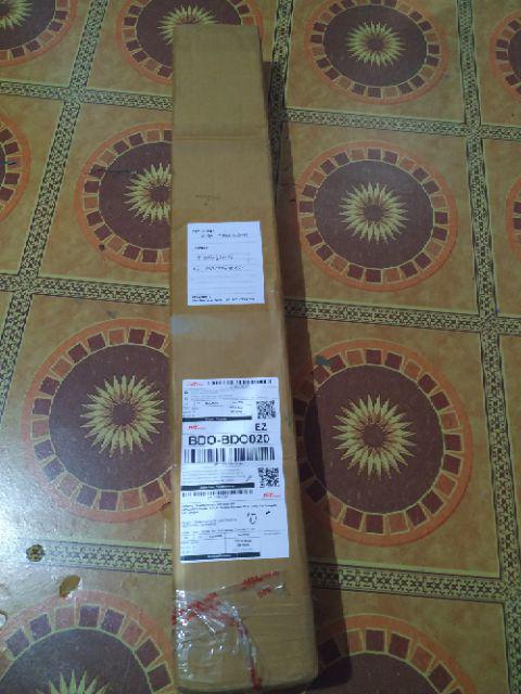 Bibit Buah Mangga Chokanan