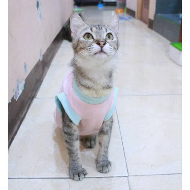 Kaos rumahan untuk kucing dan anjing warna pink / baju kucing murah size S M L XL