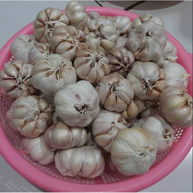 

Bawang Putih 500 gr