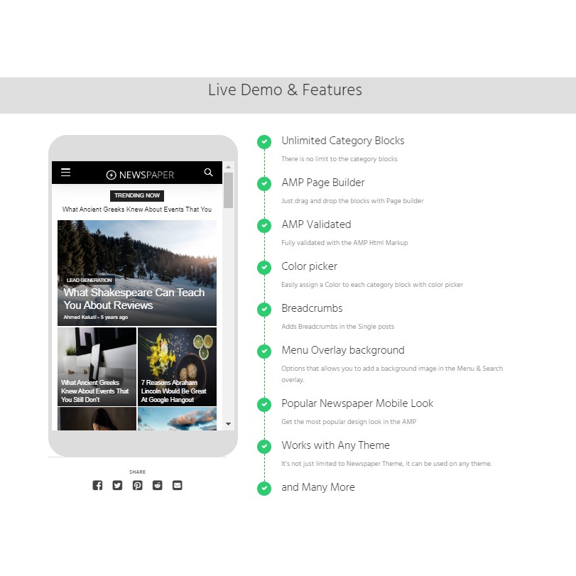Theme Newspaper Built For AMP Versi 2.0.18 (AMP for WP)