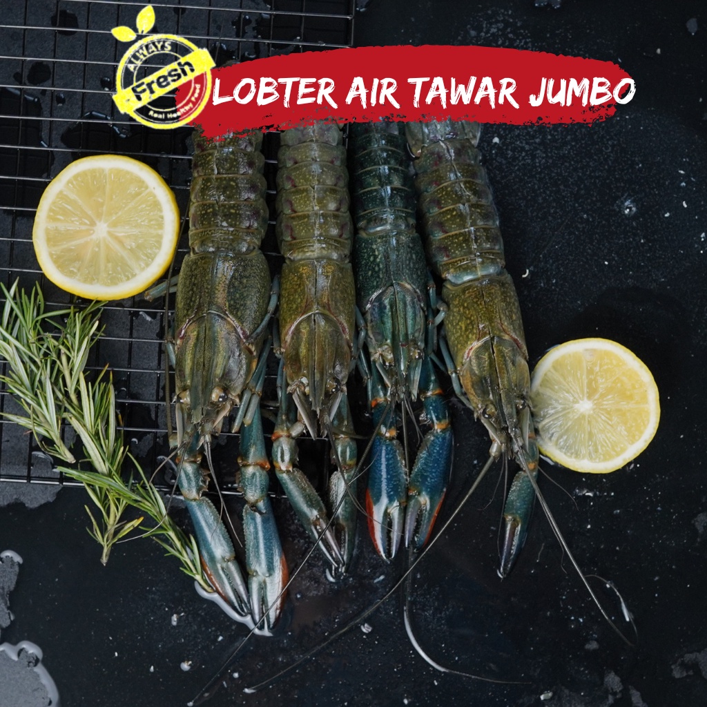 

lobster Air Tawar Frozen fresh jumbo