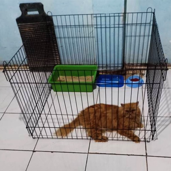 GUNINCO KANDANG 90x60 kandang hewan besi anjing kucing kelinci SIZE XL-4