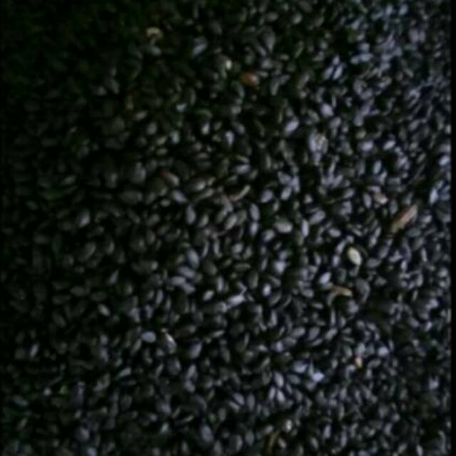 

BIJI SELASIH 250 Gram