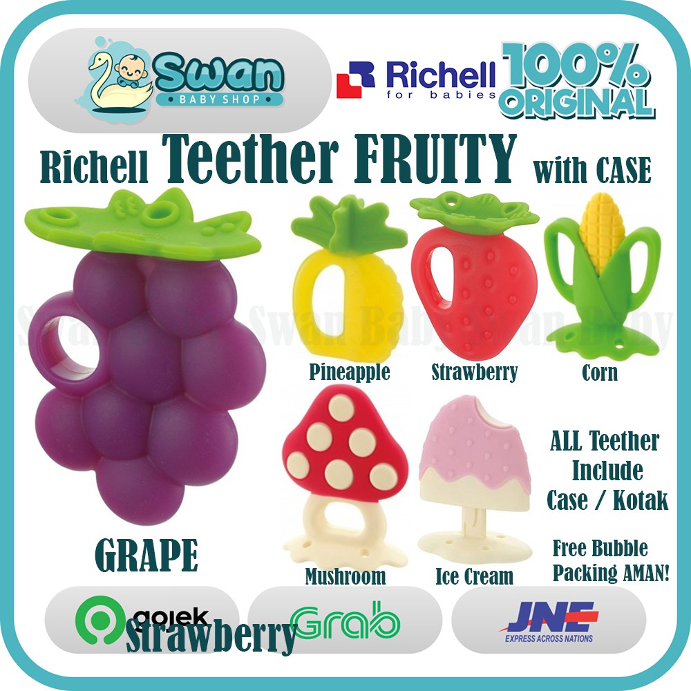 Richell Teether with Case ( Fruity )