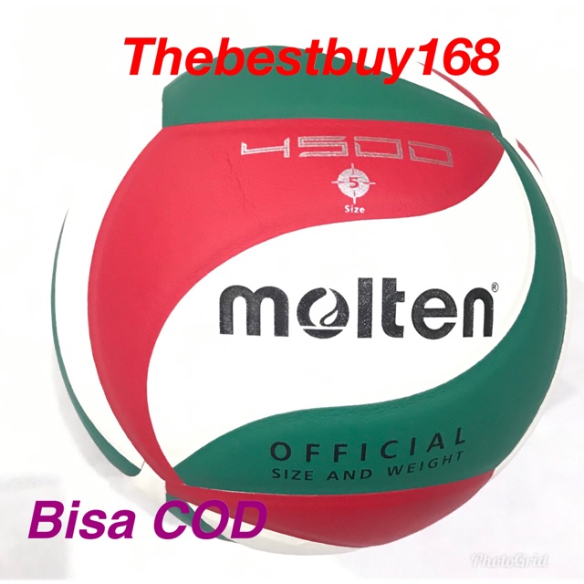 Bola voli molten 4500