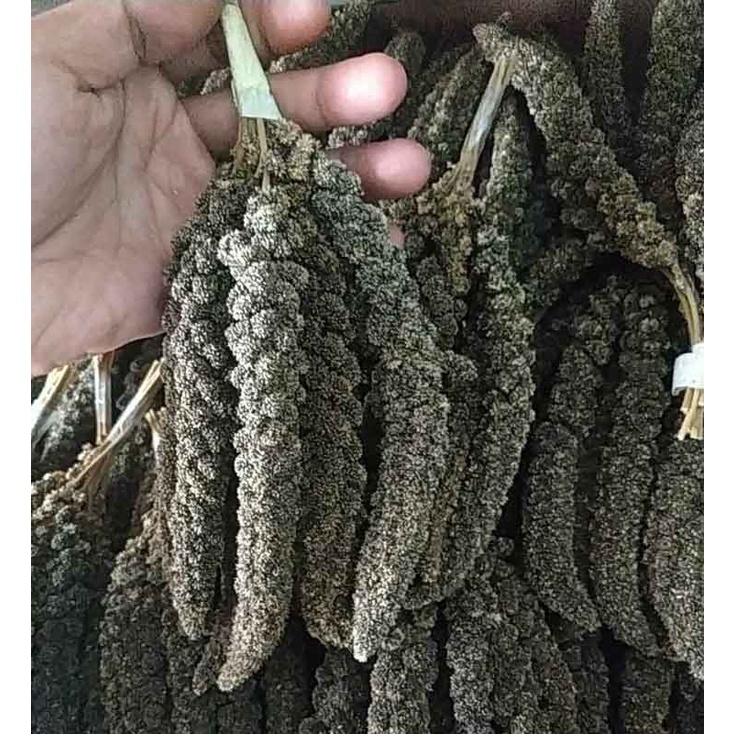 100 gram - Jewawut Tangkai hitam spray millet foxtail Pakan Burung, Pakan Hamster Murah