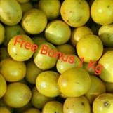 

Jeruk Lemon California 500 gr + Gratis Bonus