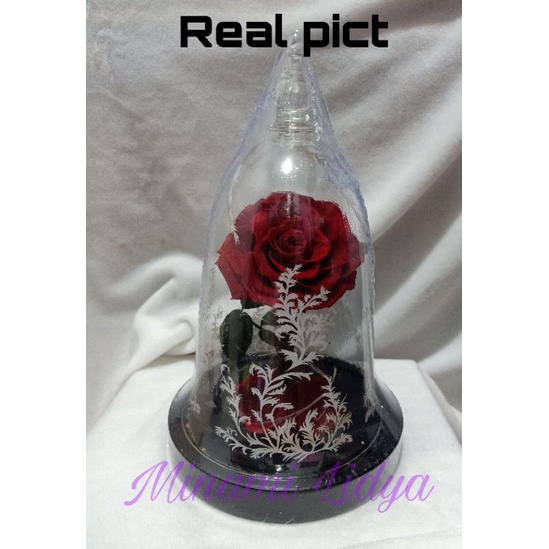 bunga beauty and the beast preserved rose impor led valentine gift hadiah anniversary