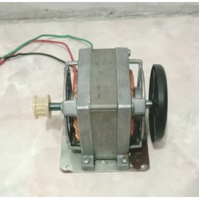 ac motor 220V