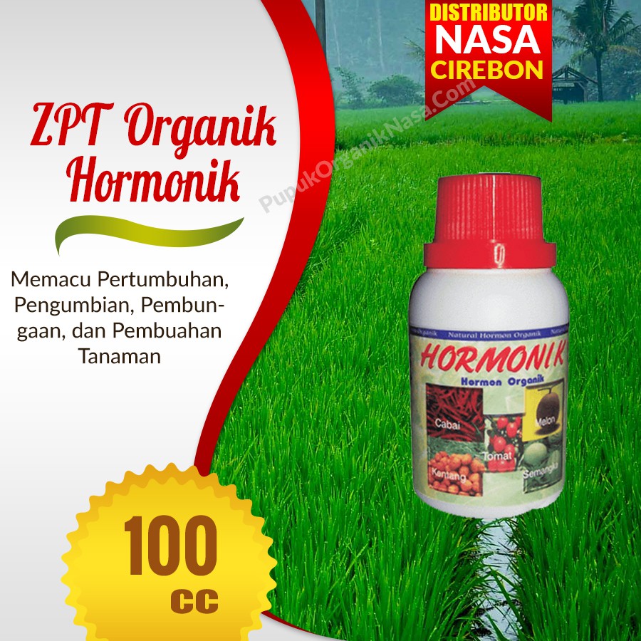 Hormonik ZPT Organik Nasa