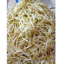 

Toge segar / Toge sayur _ 100gr