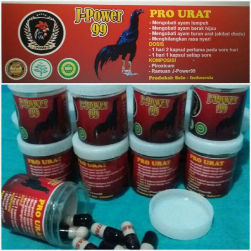

obat turun urat isi 10 kpsul