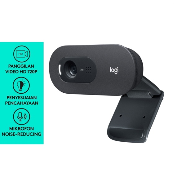 Logitech C505e HD Webcam With Mic 30fps for PC Laptop Mac C505