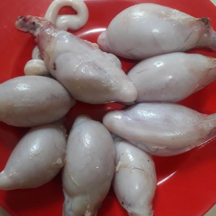 

Meat | Torpedo Kambing Makanan Penambah Stamina Pria Harga Untuk 1Psng Torped