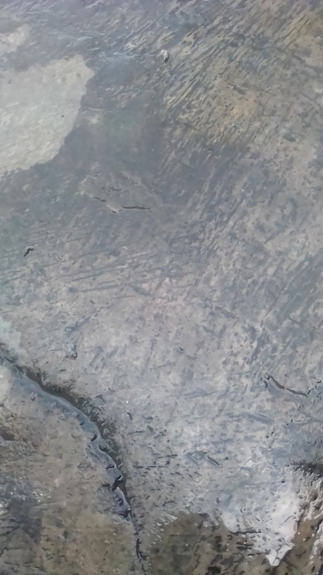 Sikat Kawat Baja Kuningan Scratch Brush Gagang Plastik Bison D84000