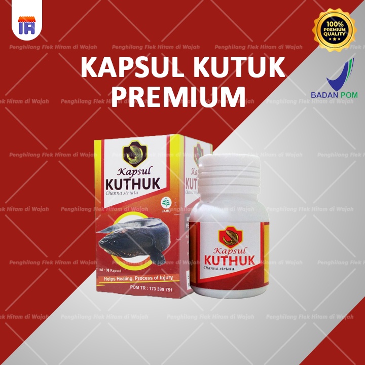 Jual KAPSUL KUTUK PREMIUM Asli Original 100 Ekstrak Albumin Sulosi