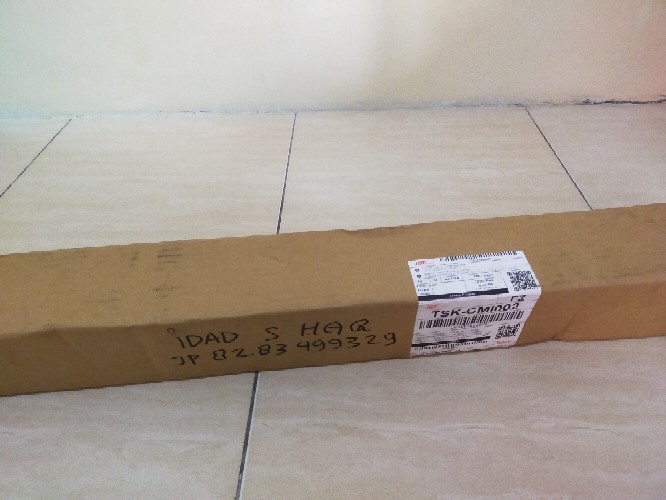 Bibit Anggur Import Ninel