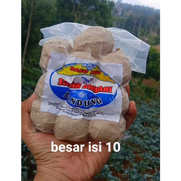 

baso ikan sinar bahari besar isi 10